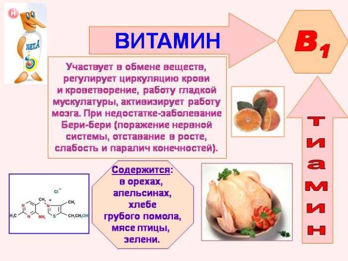 Lastnosti vitamina B1